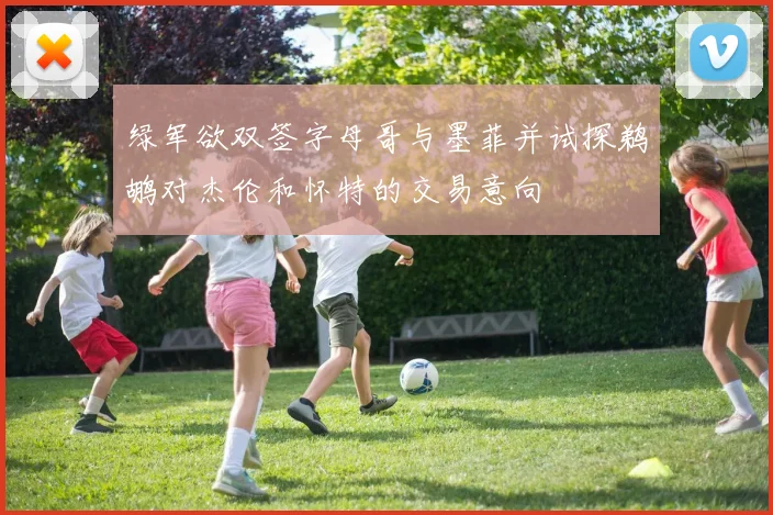 绿军欲双签字母哥与墨菲并试探鹈鹕对杰伦和怀特的交易意向